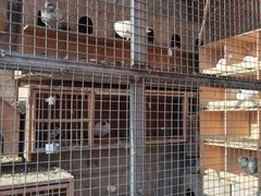 -鱼窝棚柴火铁锅炖(富山屯店)