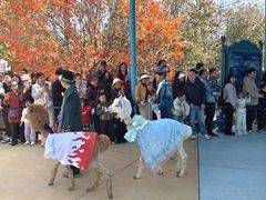 -海合安武汉极地海洋公园