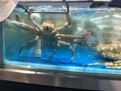 -盒马鲜生(杭州运河上街店)