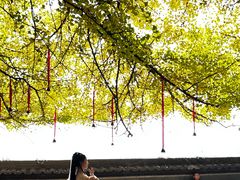 -大慈岩风景区