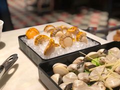 越南活冻扇贝肉-一哥澳门豆捞·澳门风打边炉(高德置地店)