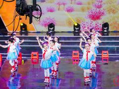 -西安小天鹅艺术团(曲江Alice店)