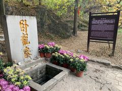 -浮来山风景区