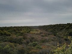 -大青沟风景区