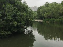 -天鹅湖体育公园