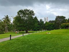 -新加坡植物园