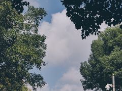 -龟山风景区-龟山电视塔