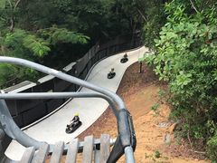 -圣淘沙天际线斜坡滑车