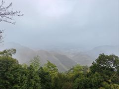 -莫干山风景区