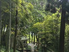 -莫干山风景区