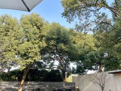 -九里云松·天香餐厅