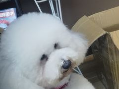 -宠颐生汉谟拉比宠物医院