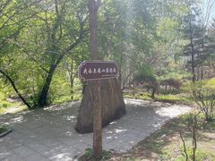 -吉林市朱雀山国家森林公园