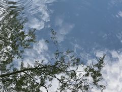 -颐和园