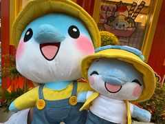 -南昌之星游乐场