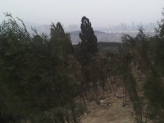 -铁道游击队纪念馆