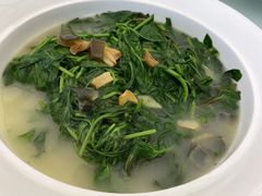 上汤枸杞头-莆鑫海鲜城(浏河店)