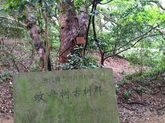 -普陀山风景名胜区-法雨禅寺