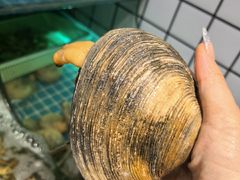-震海贝烤贝·民俗特色店(延吉总店)