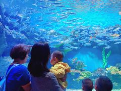 -华夏文旅海洋公园