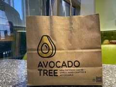 -油梨树AVOCADO TREE(望京店)