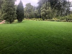 -中家鑫园温泉酒店鑫悦汤泉