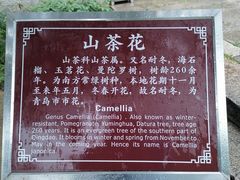 -青岛崂山太清宫