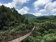 -大余丫山旅游度假区