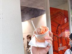 -DIP in GELATO(富民路店)