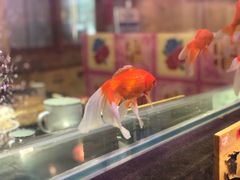-粗粮人家(簋街店)