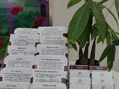 -雅悦齿科(顾村公园店)