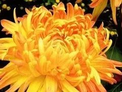 -天津市河西区金子小一一儿童军校幼儿园