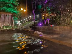 -花水湾第一村温泉大酒店