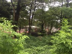 -松山湖梦幻百花洲