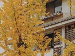 -Auco游咖.咖啡(清吟街店)