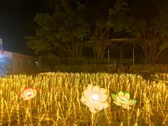 -广东花都香草世界旅游度假区