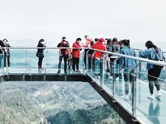 -梦幻奥陶纪景区