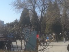 -古城公园