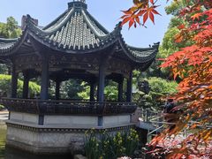 -申粤轩酒楼·三十年粤菜经典(丁香花园店)