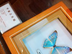 -上海大自然野生昆虫馆(东方明珠·爬宠昆虫探索中心)