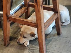 -Cactus墨西哥仙人掌餐厅