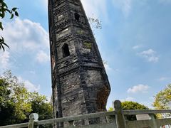 -上海佘山国家森林公园天马山园