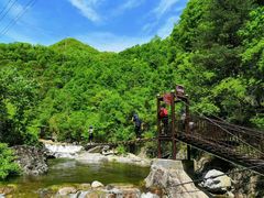 -终南山国家森林公园