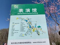 -哈尔滨北方森林动物园