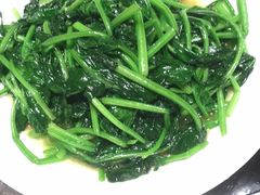 -同庆楼(滨湖万达广场店)
