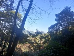 -火炉山森林公园