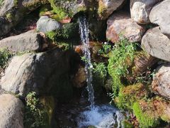 -大连天门山国家森林公园