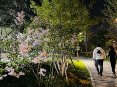 -回龙观体育文化公园