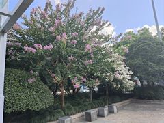 -杭州城北体育公园