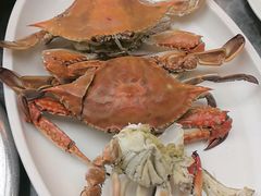 -老妈疙瘩汤·平价海鲜专门店·老威海菜(渔港路店)